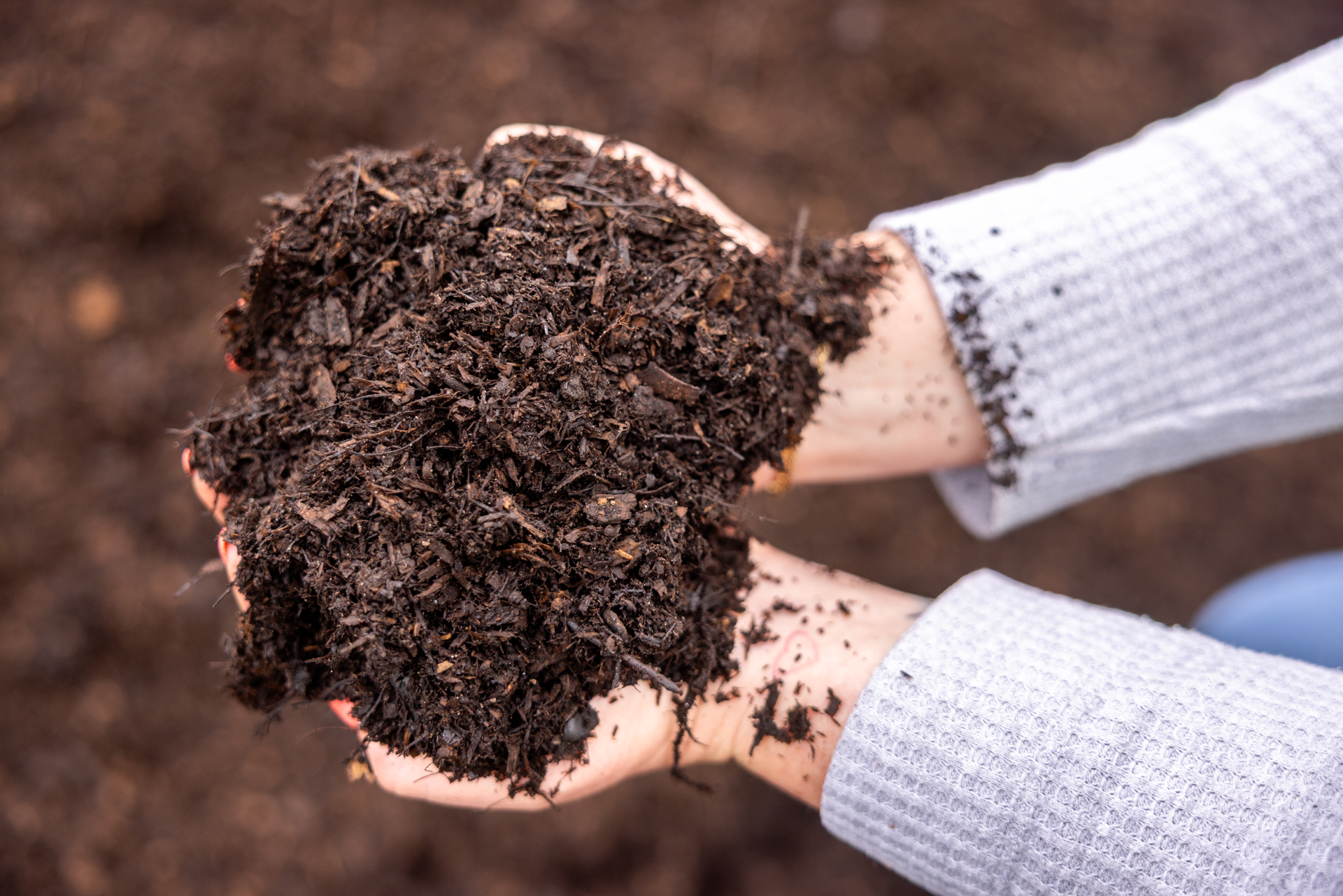 Mad Mics Mulch