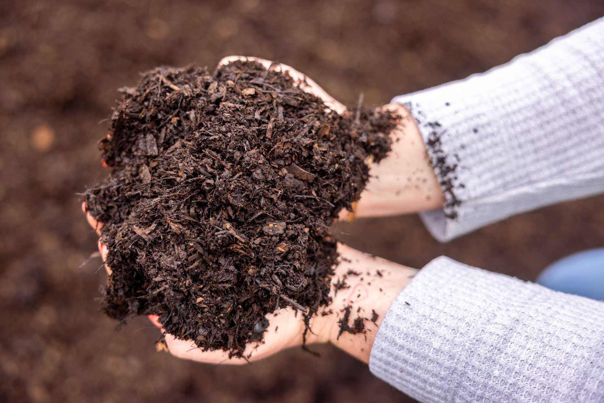 Mad Mics Mulch